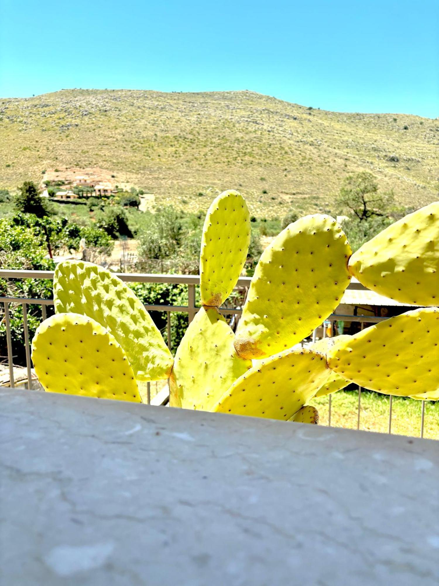 Bed And Breakfast Turi Castelluzzo Exterior photo